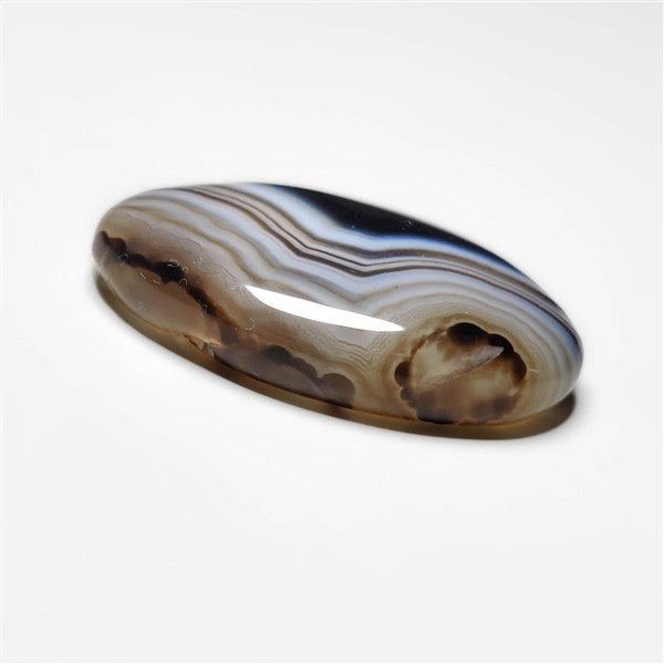Tuxedo Agate