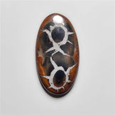 Septarian