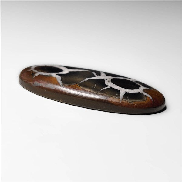 Septarian