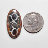 Septarian