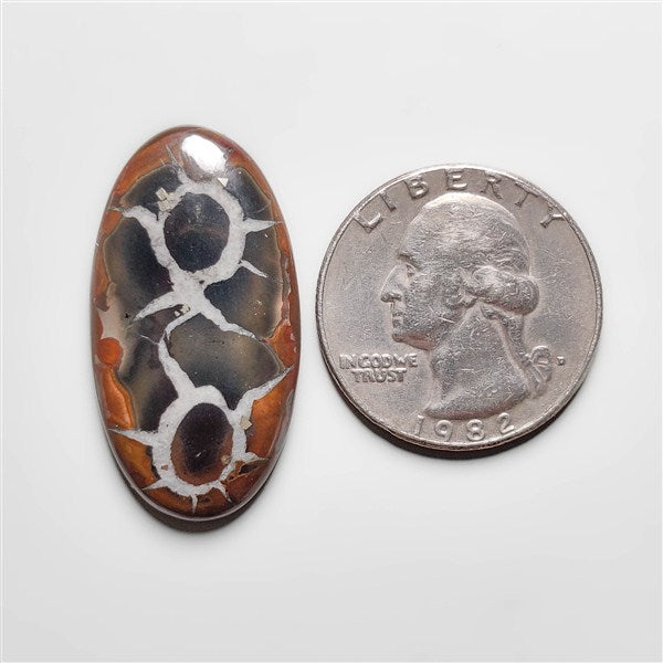 Septarian