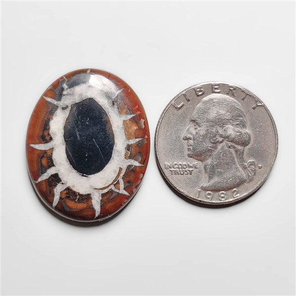 Septarian
