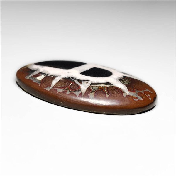 Septarian
