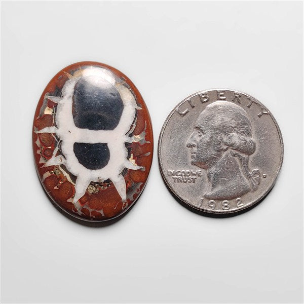 Septarian
