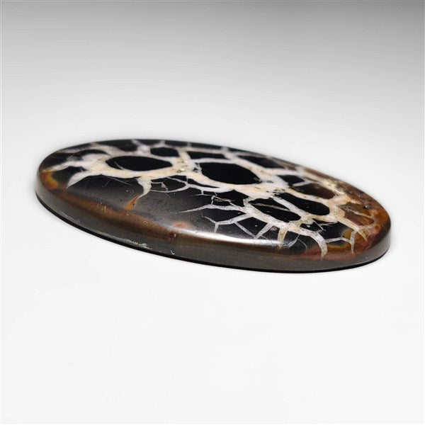 Septarian