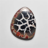 Septarian