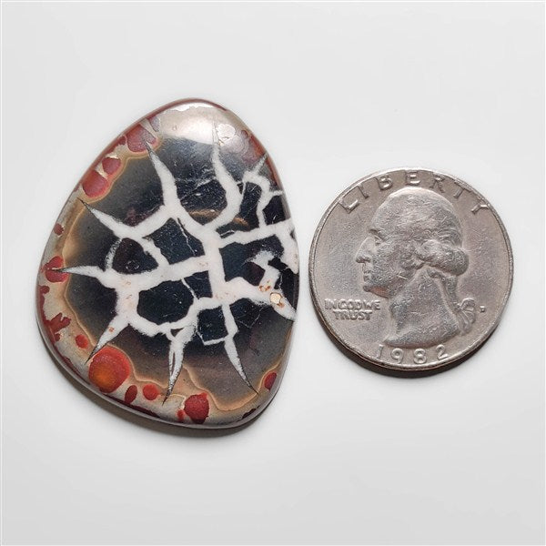 Septarian