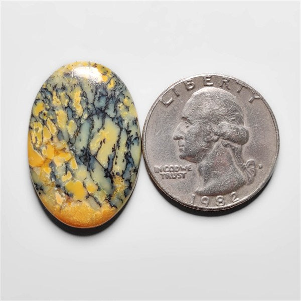 Dendritic Agate