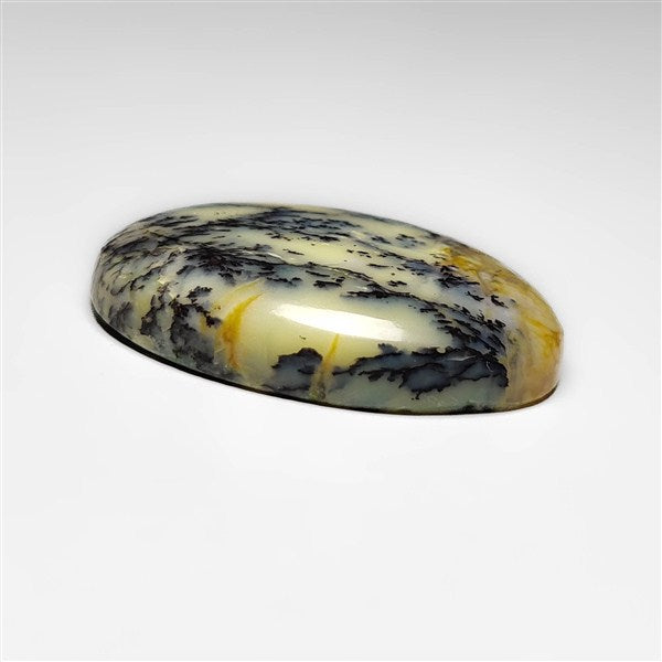 Dendritic Agate