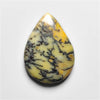 Dendritic Agate