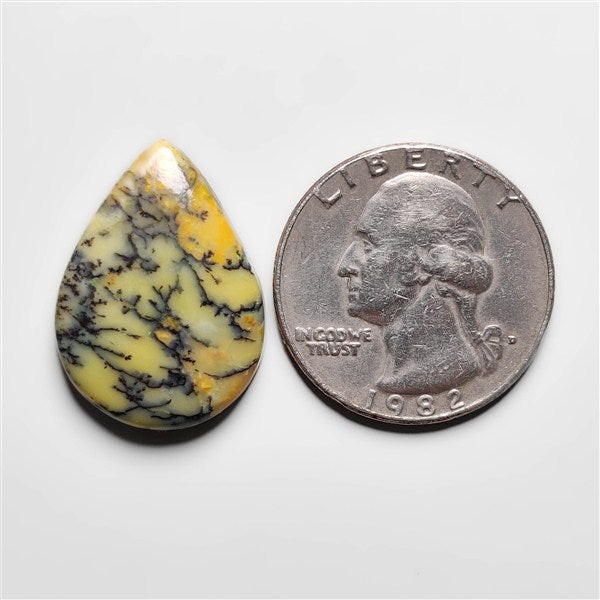 Dendritic Agate