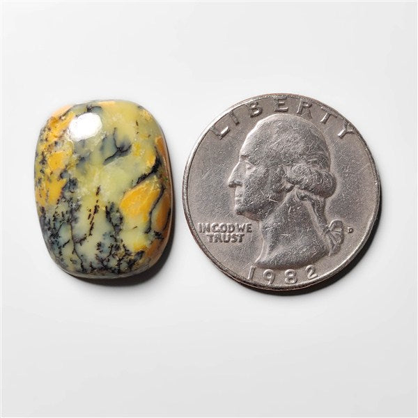 Dendritic Agate