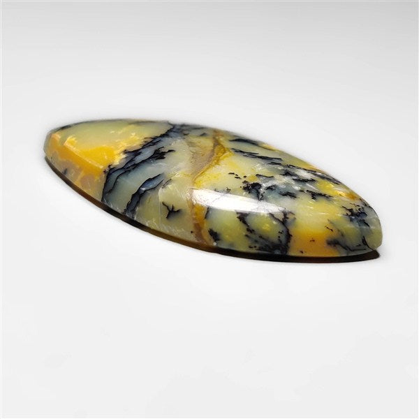 Dendritic Agate