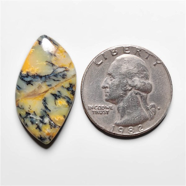 Dendritic Agate