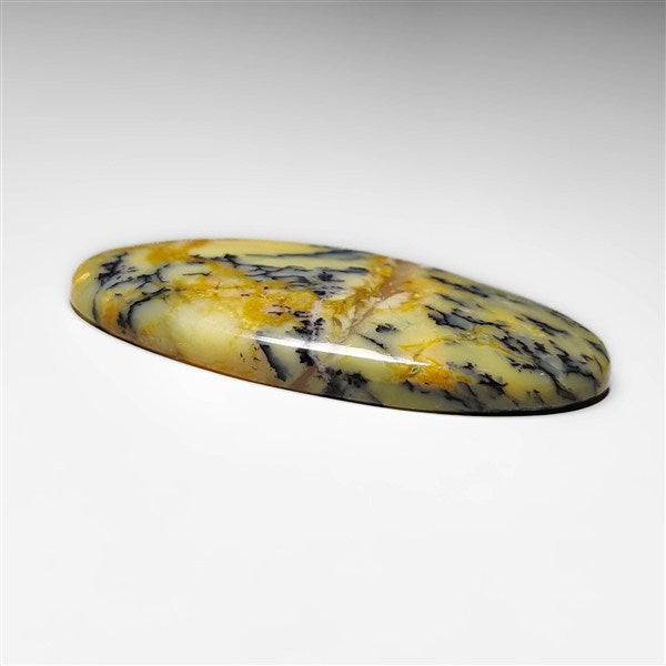 Dendritic Agate