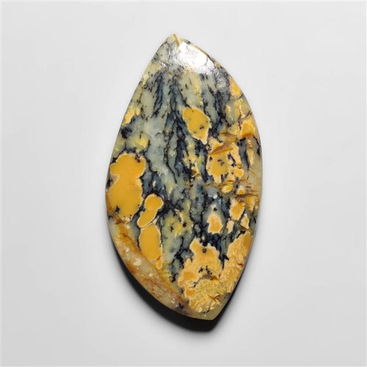 Dendritic Agate