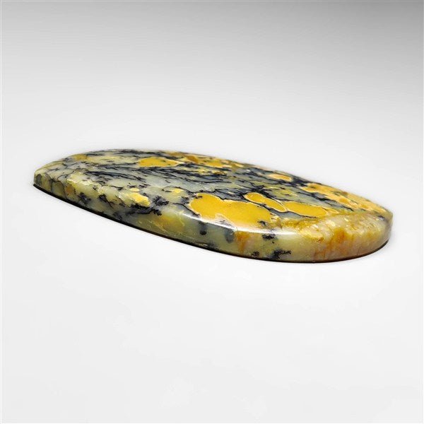 Dendritic Agate