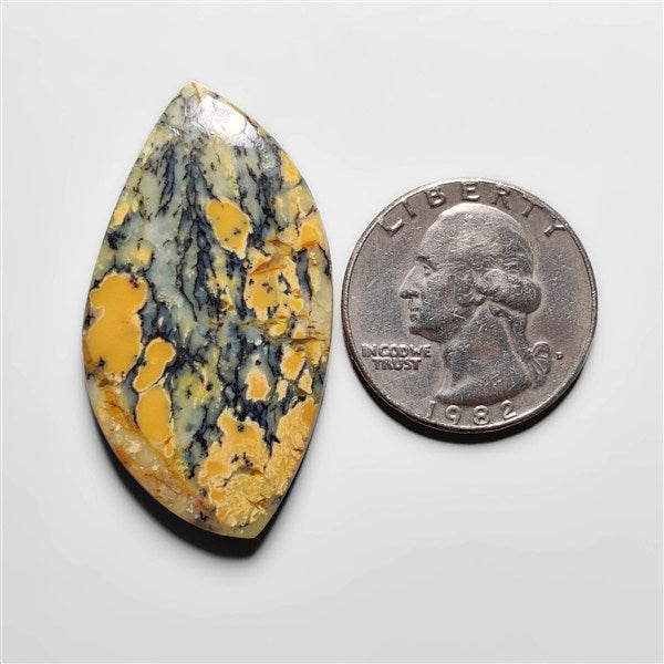 Dendritic Agate
