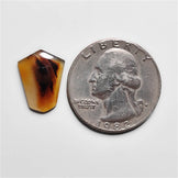 Montana Agate