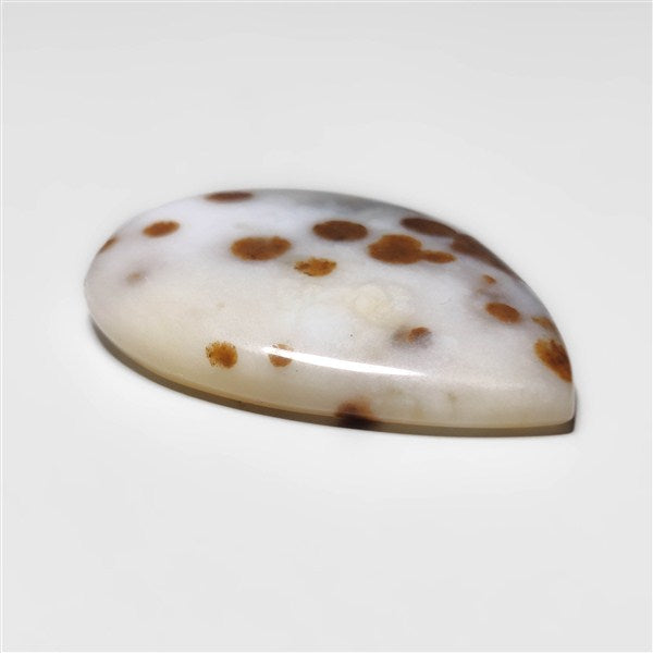Polka Dot Agate