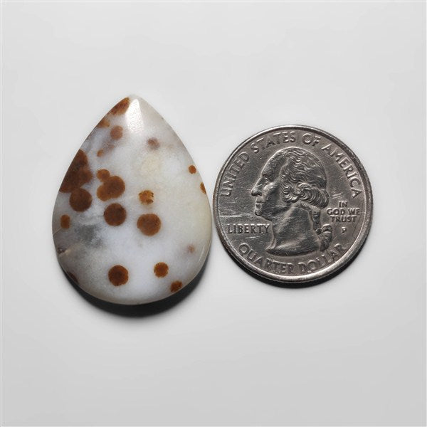 Polka Dot Agate