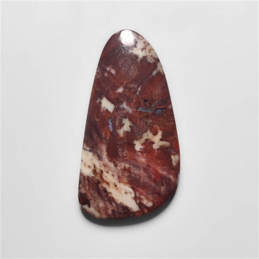 Petrified Wood
