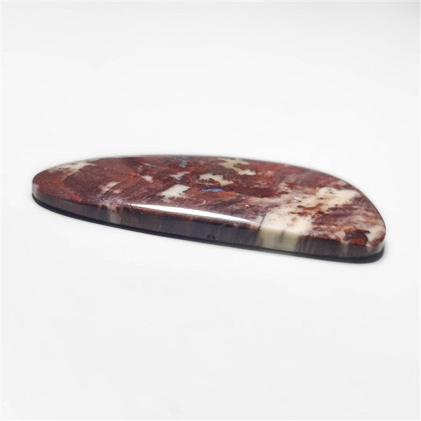 Petrified Wood