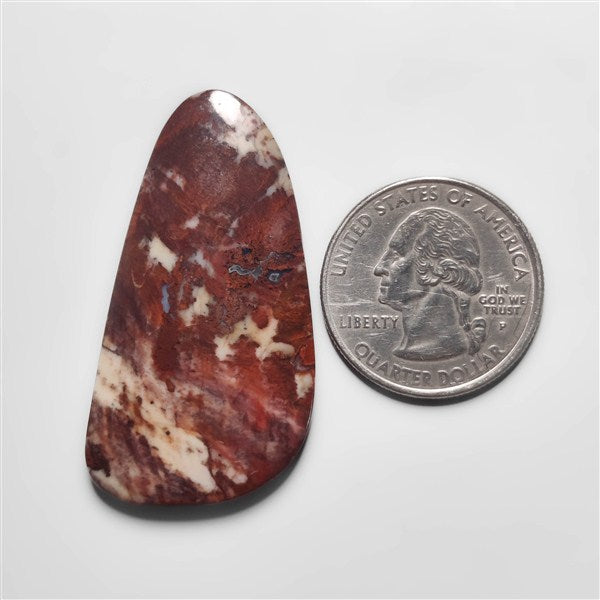 Petrified Wood