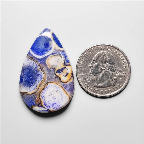 Cobra Jasper