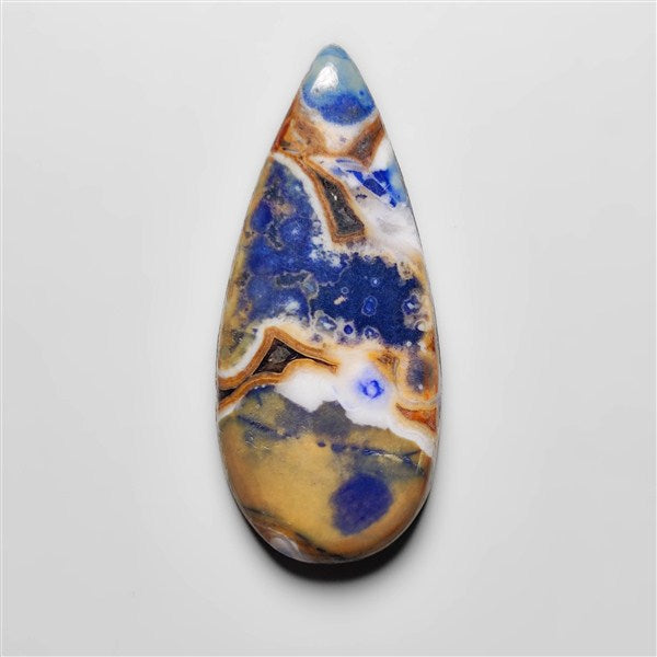Cobra Jasper