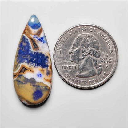 Cobra Jasper