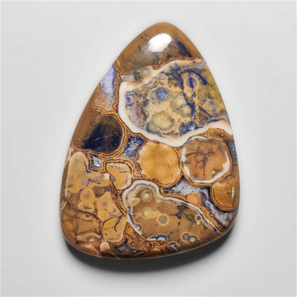 Cobra Jasper