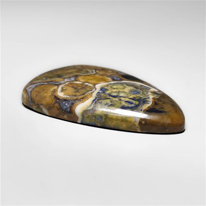 Cobra Jasper