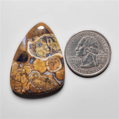 Cobra Jasper