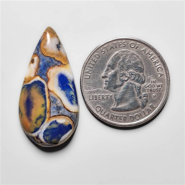 Cobra Jasper