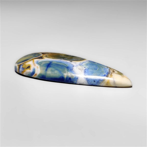 Cobra Jasper
