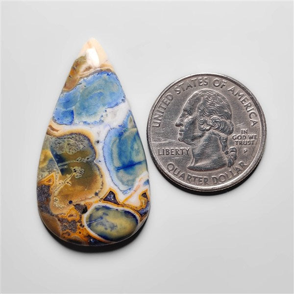 Cobra Jasper