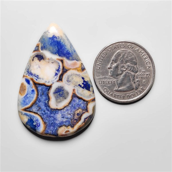 Cobra Jasper