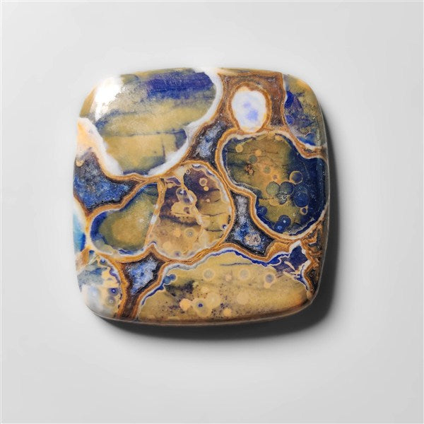 Cobra Jasper