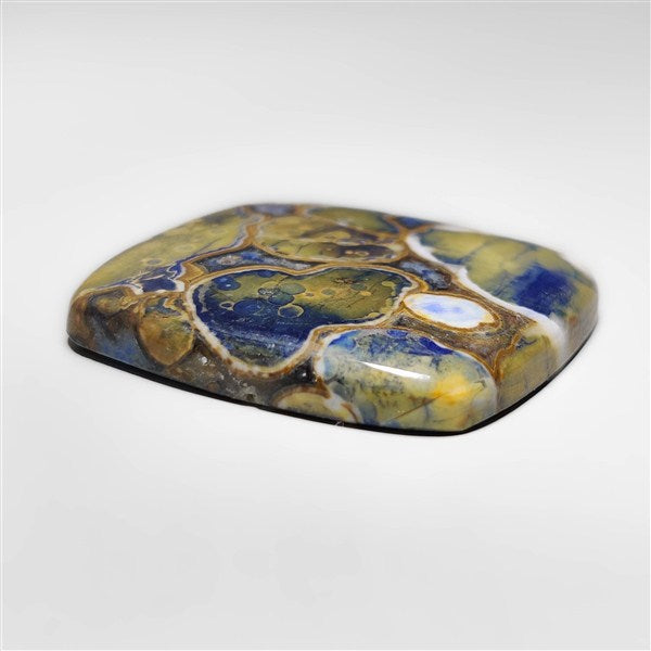 Cobra Jasper