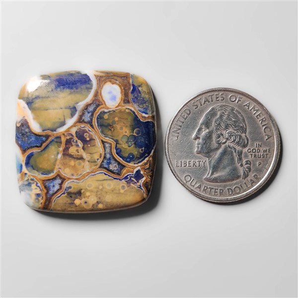 Cobra Jasper
