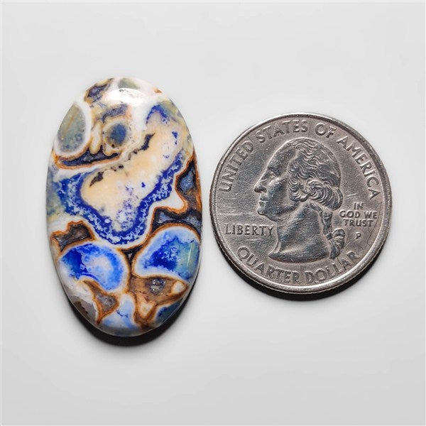 Cobra Jasper