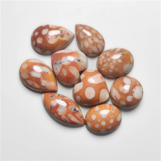 Fawn Jasper