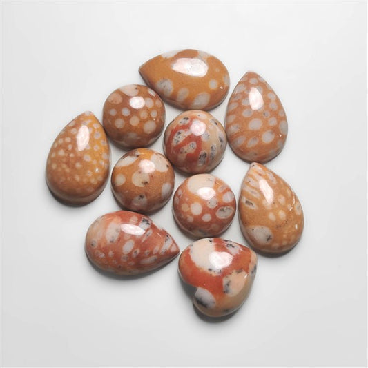 Fawn Jasper