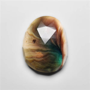 Rose Cut Shiva Eye Shell