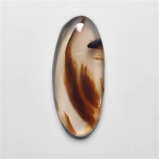 Montana Agate