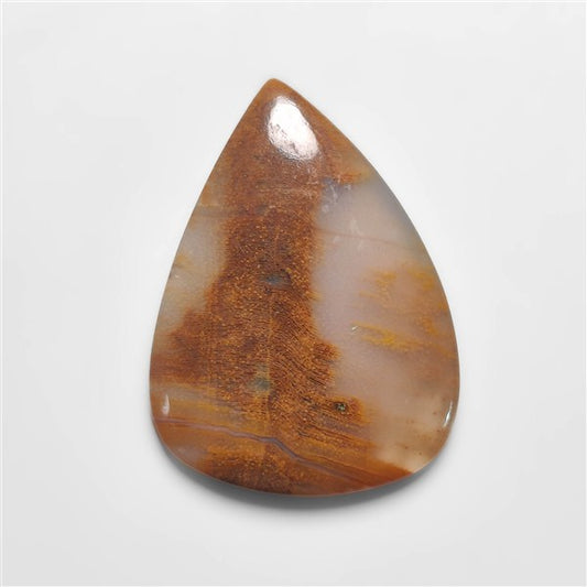 Petrified Wood