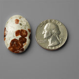 Garnet|Garnet In Limestone