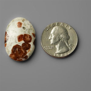 Garnet In Limestone