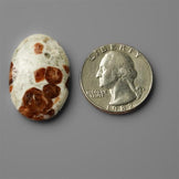 Garnet|Garnet In Limestone